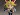 Yami YP