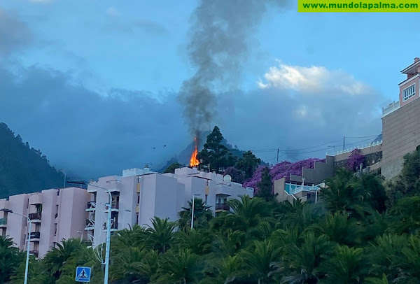 Incendio de una zona de matorral en Santa Cruz de La Palma