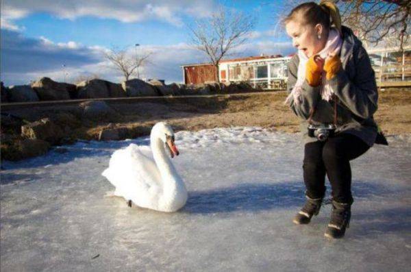 Women usually like all the cute and fluffy creature, they always want to pet them... But these creatures can be not that cute. And this is what can happen, if you try to get along with them.