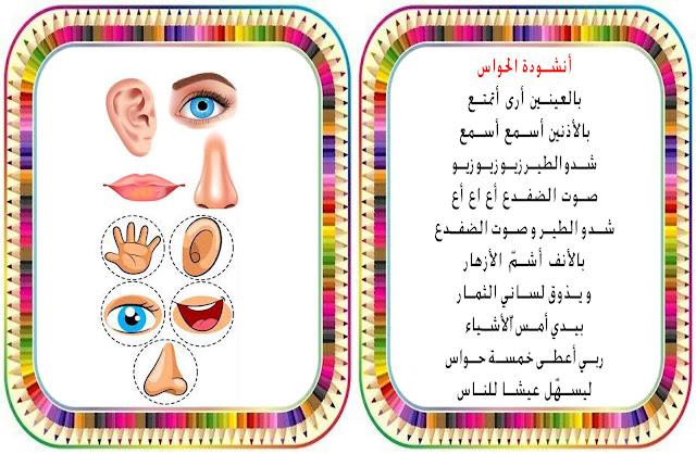 أنشودة الحواس ، انشودة السنة الاولى و الثانية