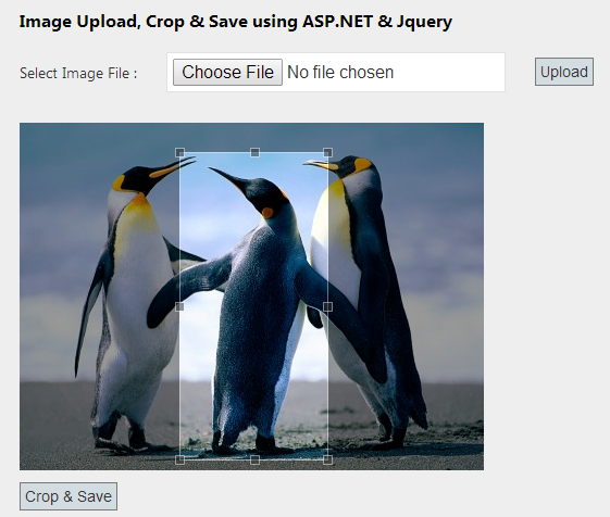 How to crop image and save the cropped image using asp.net & jquery