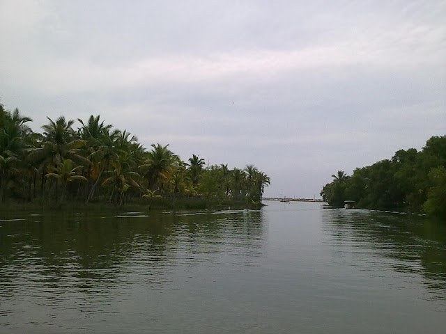 Boat ride in Poovar Backwaters to Island