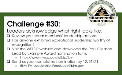 2021 WFLDP campaign/anniversary logo and challenge