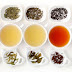 6 Main Types Of Tea You Should Know