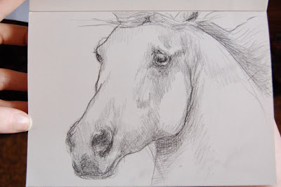 horse portrait by ophelia keys