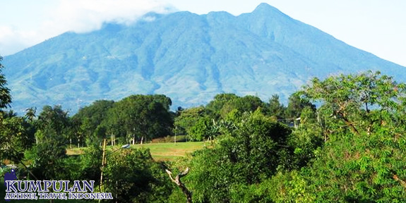 Gunung Halimun Salak