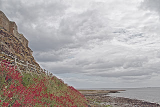 Lindisfarne Castle by Cornelia Schulz