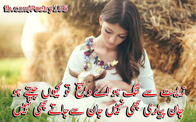 Urdu Poetry Images