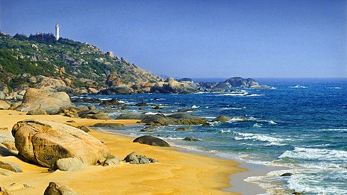 mui-vi-rong