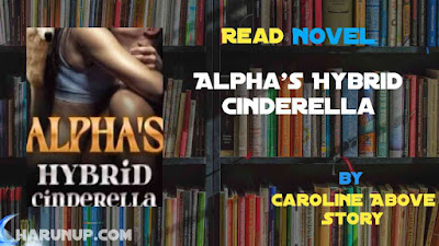 Read Alpha’s Hybrid Cinderella Novel Full Episode
