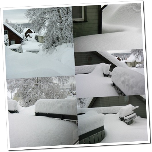 Vinterbilde 24-01-2009