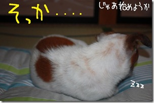 今日カズ１００７２８　４