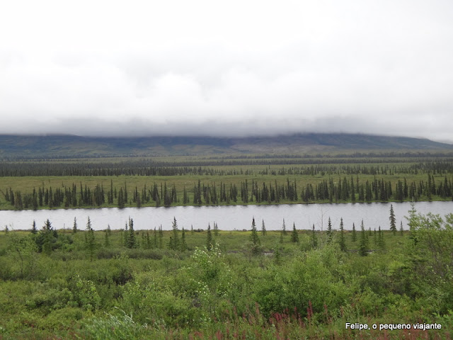 denali_national_park_alaska