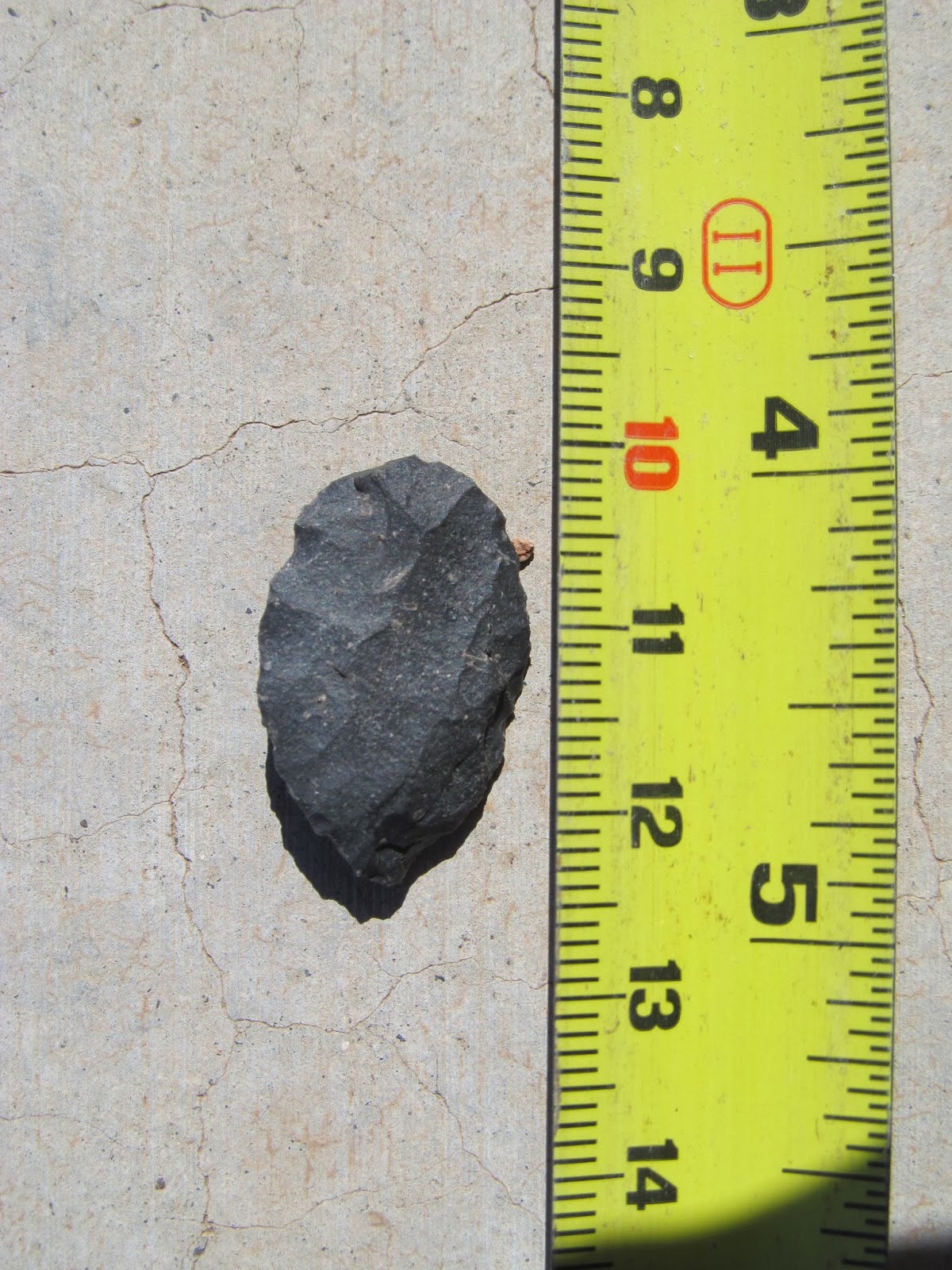 leaf shaped biface projectile point associated with horse teeth