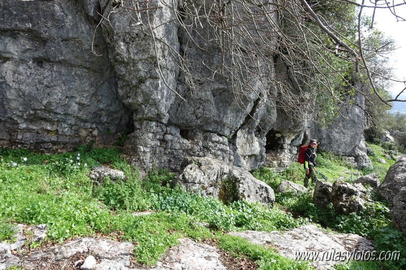 El Cintillo - Sierra Baja de Ubrique - Paso del Bombo - Ubrique - Cañada de los Pernales