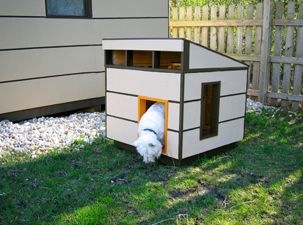 Dog-House-amarjits (2)