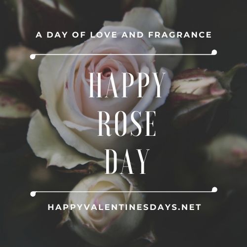 rose day images