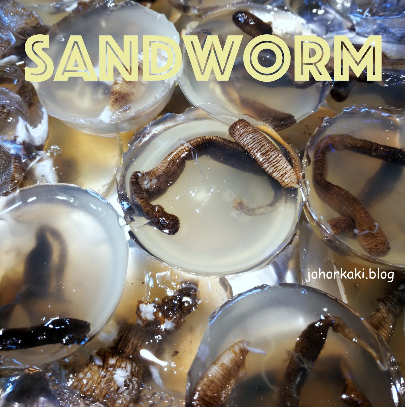 Must Try Food in Xiamen. Sand Worm or Tusun Jelly 土笋冻 Tony Johor Kaki  Travels for Food · Heritage · Culture · History