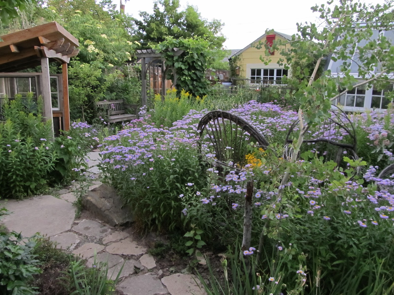 Montana Wildlife Gardener: 2012 Garden Projects