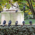 Jardin du Palais Royal - les pigeons