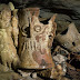 Trovato un tesoro Maya all'interno di una grotta semi-inaccessibile