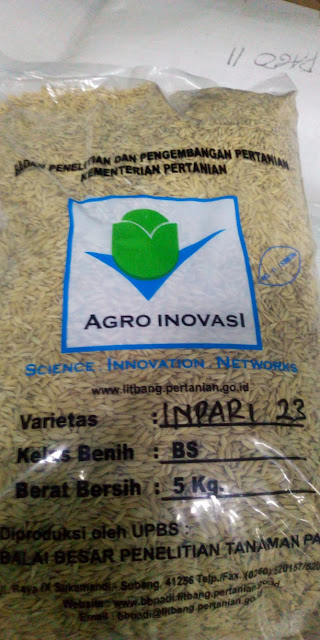 BENIH PADI INPARI 23 AROMATIK LABEL KUNING
