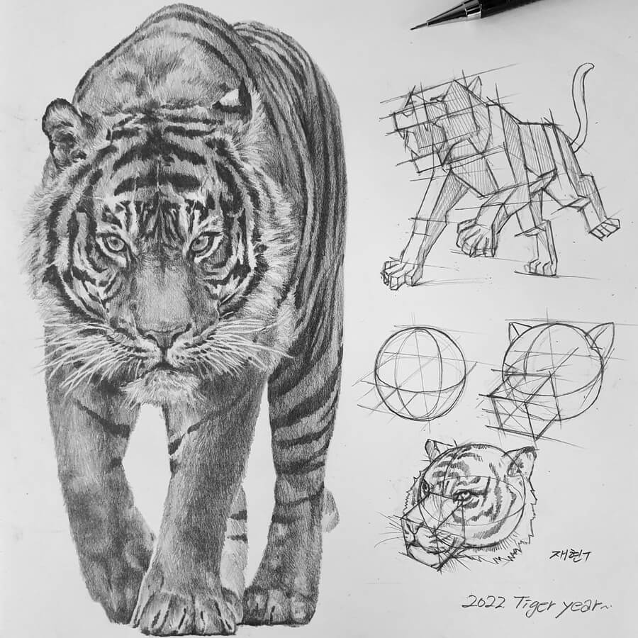 10-Tiger-Art-pencil-Tutorials-Anjjaemi-www-designstack-co
