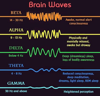 Brain Waves and Brain States