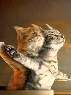 Titanic 3 Funny Cats Images, Funny Cats Romantic Movie Titanic 3 Mobile 240x320 Size Wallpapers, Funny Cats In Romantic Mood Photo, Funny Lovers Cat In Ship Pics