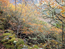 By E.V.Pita / Canyons of River Sil / Fall 2012 / Cañones del río Sil