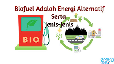 Biofuel Adalah Energi Alternatif, Serta Jenis-jenis