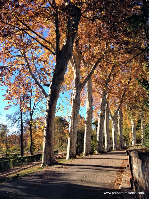 los lugares más bonitos de Madrid en Otoño