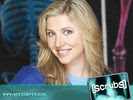 Sarah Chalke in Scrubs Wallpaper 1