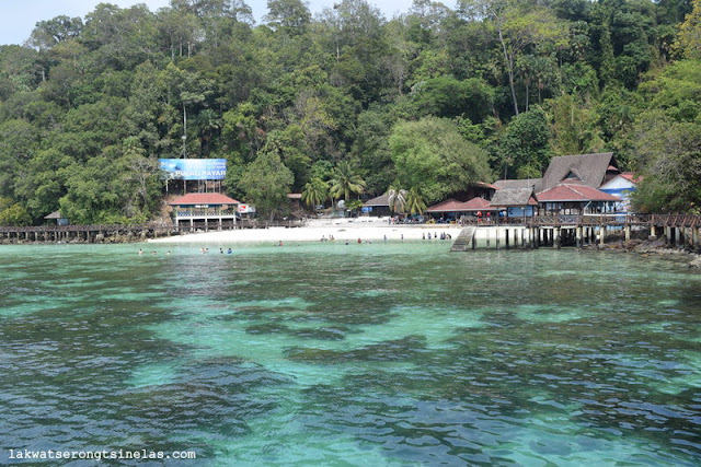 BEER, BEACH AND THE BLACKTIP REEF SHARKS OF PULAU PAYAR MARINE PARK