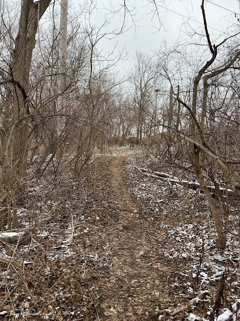 The natural trail beckoned us forward through the winter woodlands.