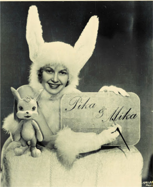 vintage fun rabbit