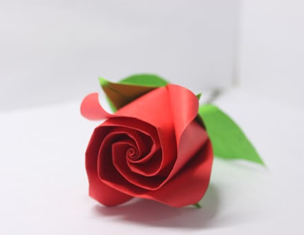 Cara Membuat Bunga  Mawar  dari  Kertas Krep