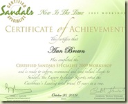 Ann CSS Workshop