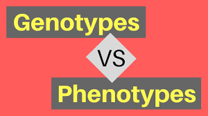CONCEPT OF MAPPING OF PHENOTYPE TO GENES ( Genotype vs. phenotype)