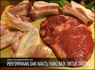 Inilah Waktu Dan Cara Penyimpanan Daging Yang Baik