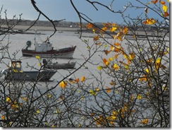 2009_112929nov20090049