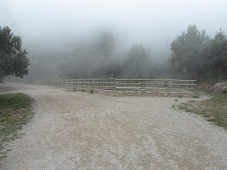 Muntanyes de Montserrat, bassa de Sant Miquel