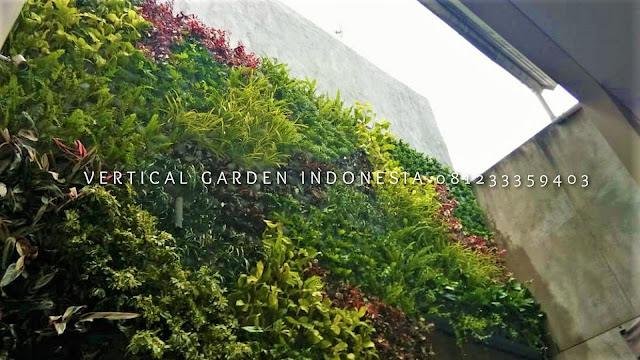 VERTICAL GARDEN INDONESIA SPESIALIS JASA PEMBUATAN VERTICAL GARDEN DI BANYUMAS JAWA TENGAH DAN DI SELURUH WILAYAH JAWA TENGAH DENGAN TENAGA YANG PROFESIONAL DAN DAPAT DI PERCAYA YANG SELALU MENGUTAMAKAN SEBUAH MUTU DAN KUALITAS PEMASANGAN VERTICAL GARDEN/TAMAN DINDING, JASA TUKANG TAMAN VERTICAL BANYUMAS JAWA TENGAH, JASA VERTICAL GARDEN BANYUMAS JAWA TENGAH