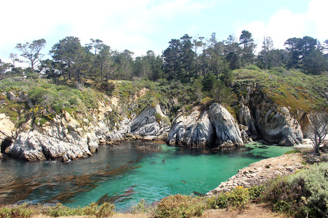 Point Lobos State Reserve, Hidden Beach to Weston Beach