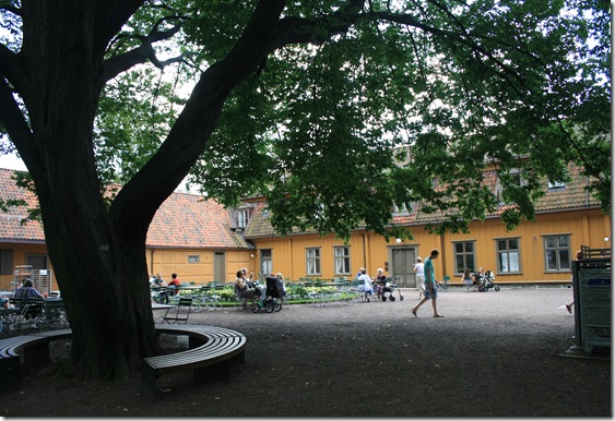 botanisk hage (20)