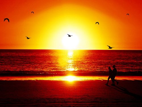 Pemandangan Matahari Terbenam di Tepi Pantai | Gambar Pemandangan