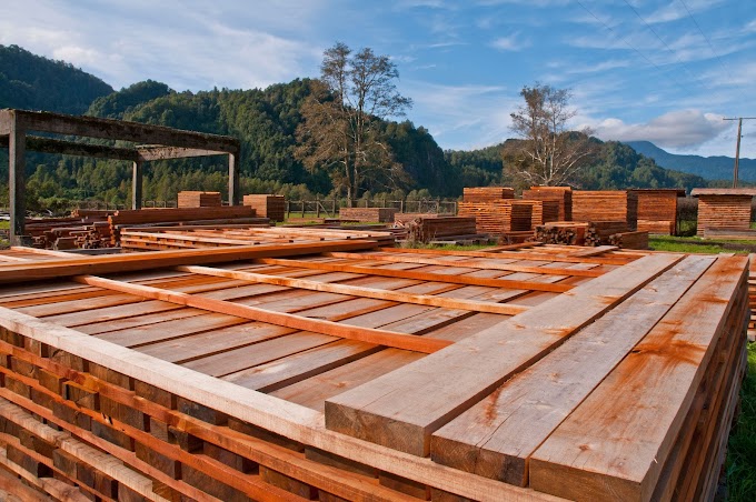Según la Red Futuro Madera el 2023 fue un año perdido para las pymes de la madera