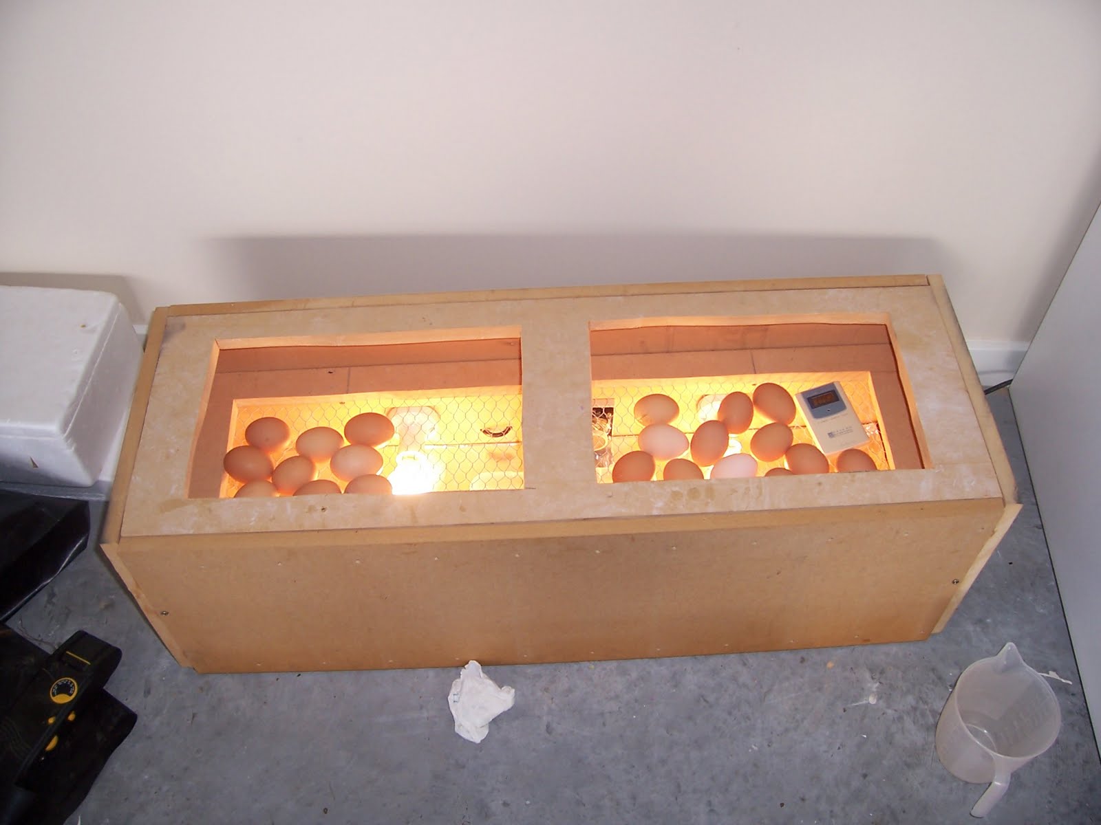  as well have an incubator to populate the chicken run this incubator