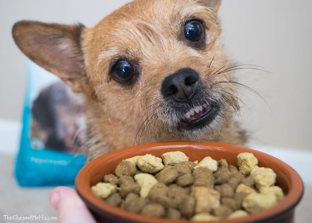 Mini Review: Only Natural Pet PowerFusion Small Breed Dog Food