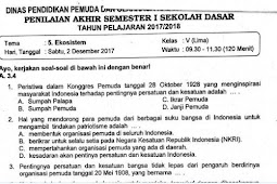 Soal Uas Matematika Kelas 5 Semester 1 Kurikulum 2013 Revisi 2017